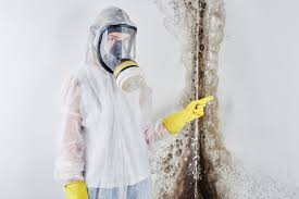 Best Mold Odor Removal Services in Hermann, MO